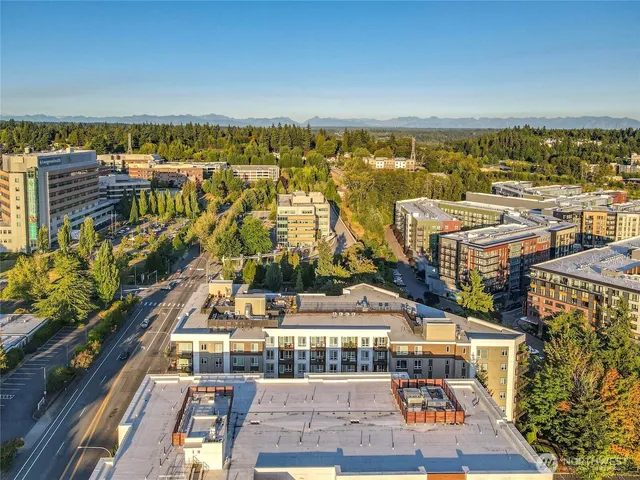a living room with patio furniture and a potted plant