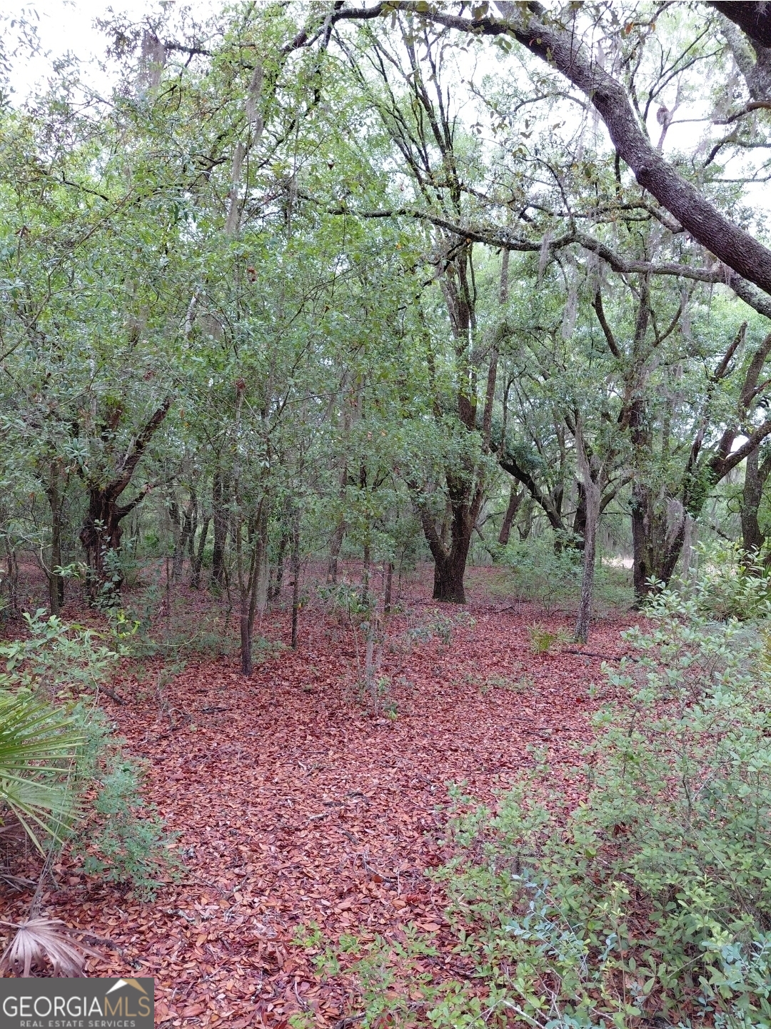 779 Ralph Davis Road, Unit 1 LAND LOT Folkston, GA 31537 - Photo 11 of 28 a backyard of a house with lots of green space