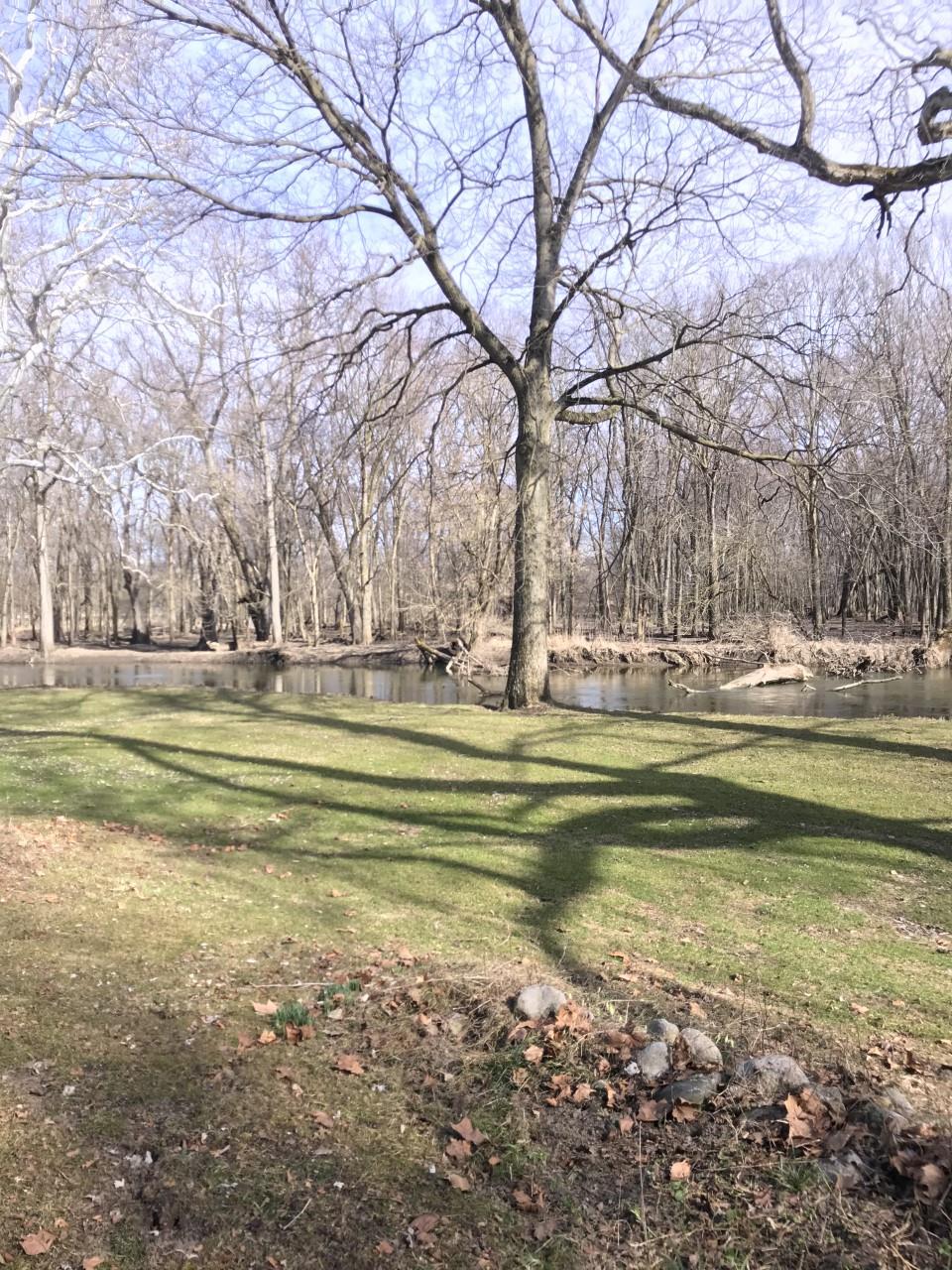 15941 14th Road Plymouth, IN 46563 - Photo 2 of 30