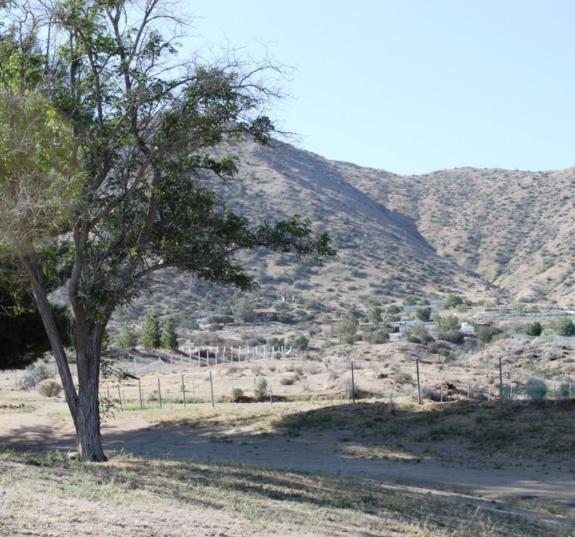 1110 Searchlight Ranch Road Acton, CA 93510 - Photo 13 of 20 IMG_5719