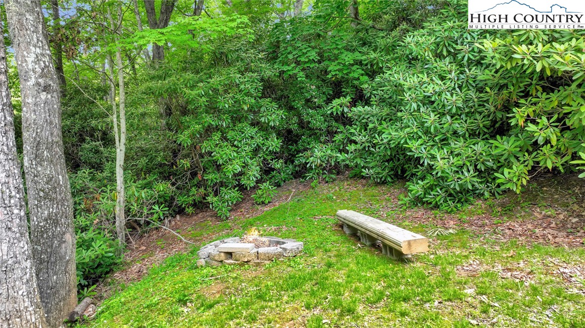 411 Locust Hill Road Boone, NC 28607 - Photo 45 of 48 Gallery Image 45