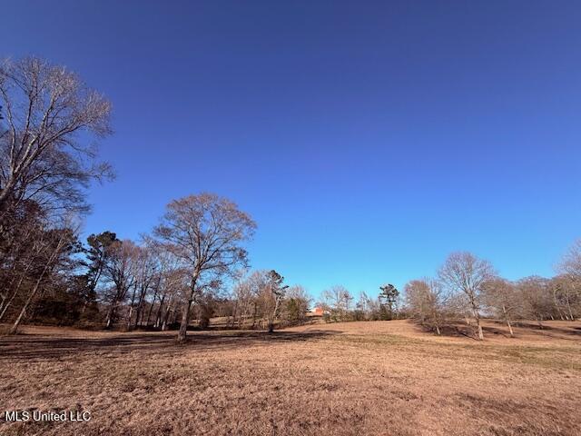 Magee Road Franklinton, LA 70438 - Photo 11 of 23 IMG_2616