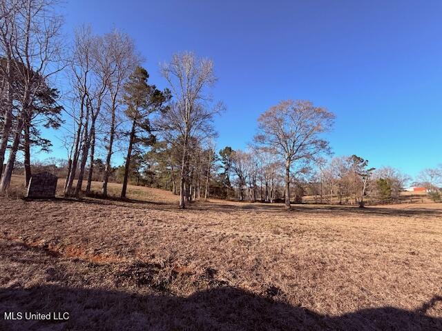 Magee Road Franklinton, LA 70438 - Photo 12 of 23 IMG_2617