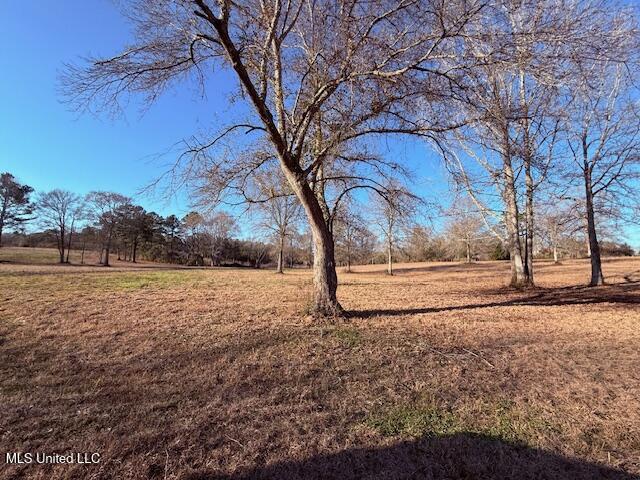 Magee Road Franklinton, LA 70438 - Photo 14 of 23 IMG_2619