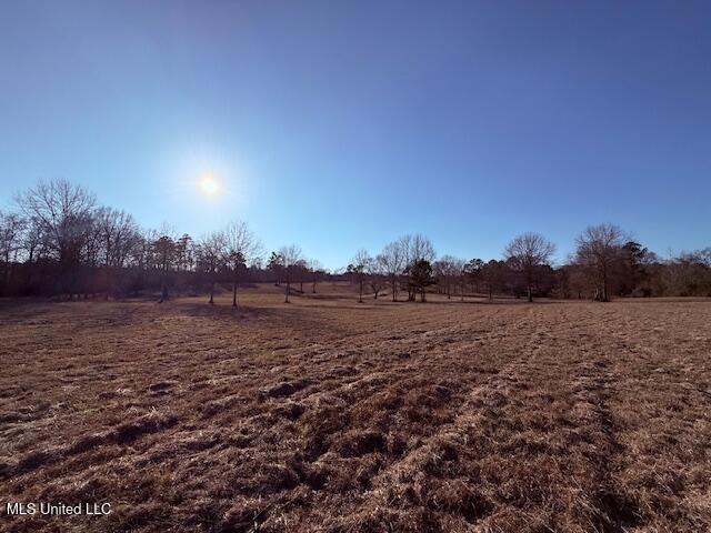 Magee Road Franklinton, LA 70438 - Photo 15 of 23 IMG_2620