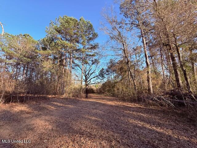 Magee Road Franklinton, LA 70438 - Photo 16 of 23 IMG_2621