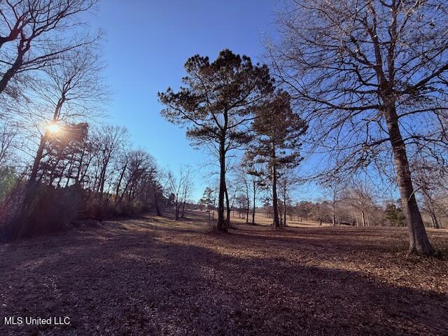 Magee Road Franklinton, LA 70438 - Photo 17 of 23 IMG_2622