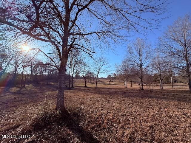 Magee Road Franklinton, LA 70438 - Photo 18 of 23 IMG_2623