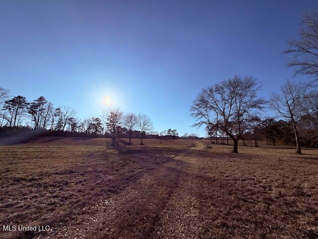 Magee Road Franklinton, LA 70438 - Photo 19 of 23 IMG_2624