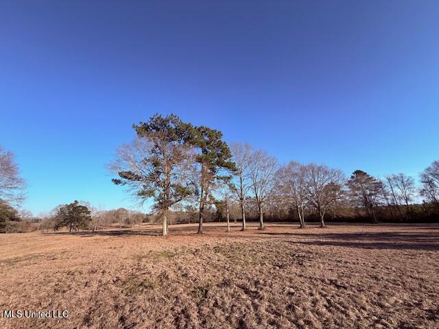 Magee Road Franklinton, LA 70438 - Photo 3 of 23 IMG_2608