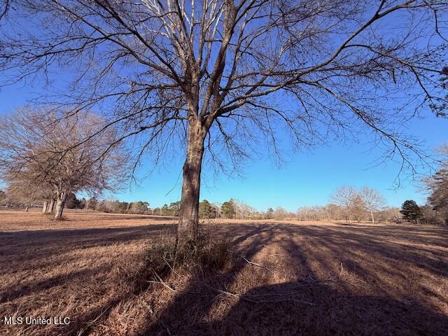 Magee Road Franklinton, LA 70438 - Photo 5 of 23 IMG_2610