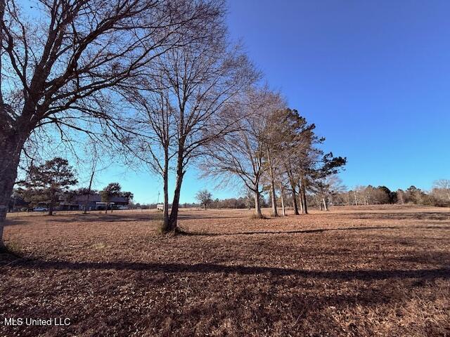 Magee Road Franklinton, LA 70438 - Photo 6 of 23 IMG_2611