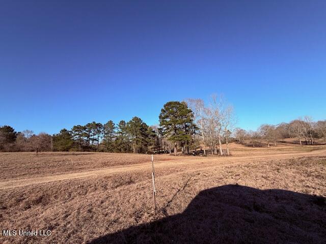 Magee Road Franklinton, LA 70438 - Photo 7 of 23 IMG_2612