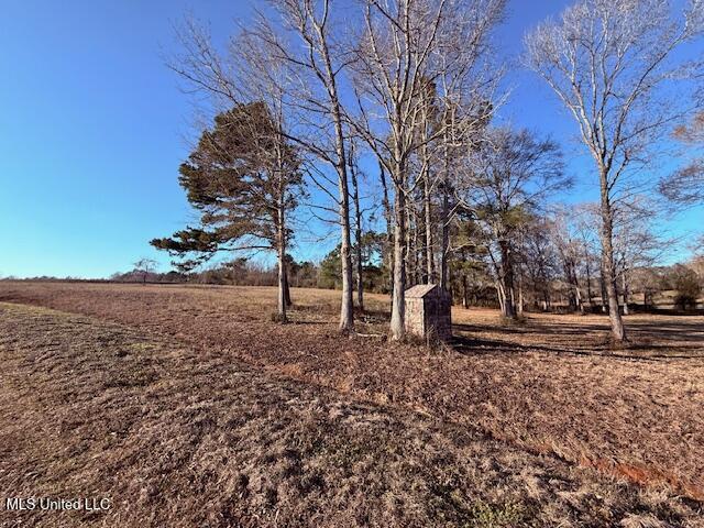 Magee Road Franklinton, LA 70438 - Photo 8 of 23 IMG_2613