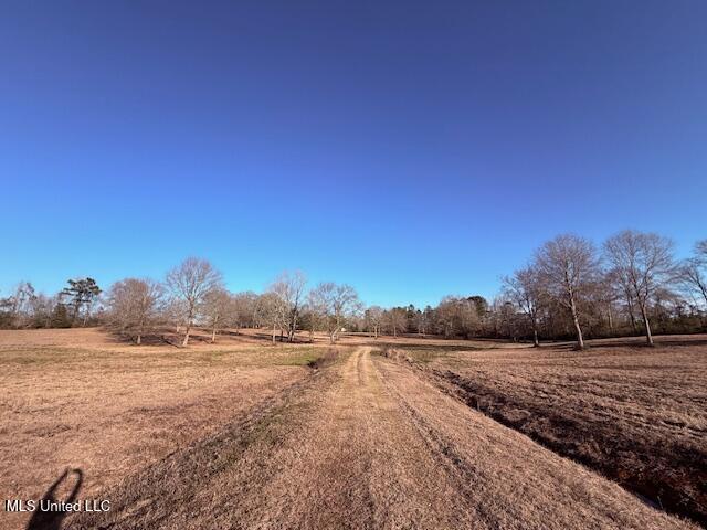 Magee Road Franklinton, LA 70438 - Photo 9 of 23 IMG_2614