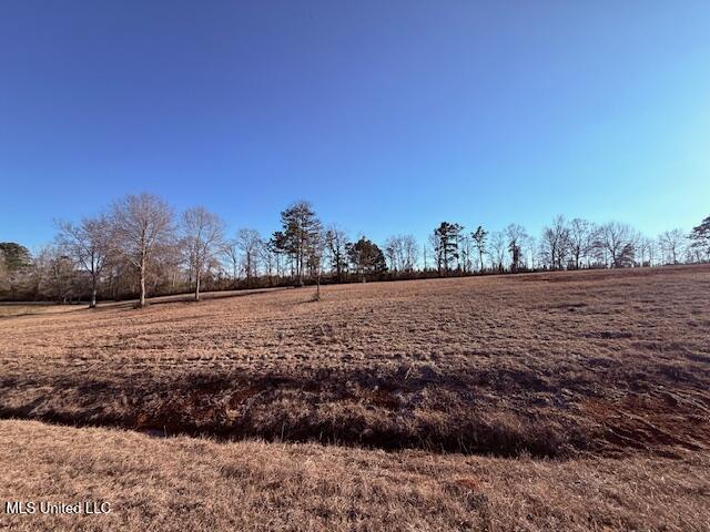 Magee Road Franklinton, LA 70438 - Photo 10 of 23 IMG_2615