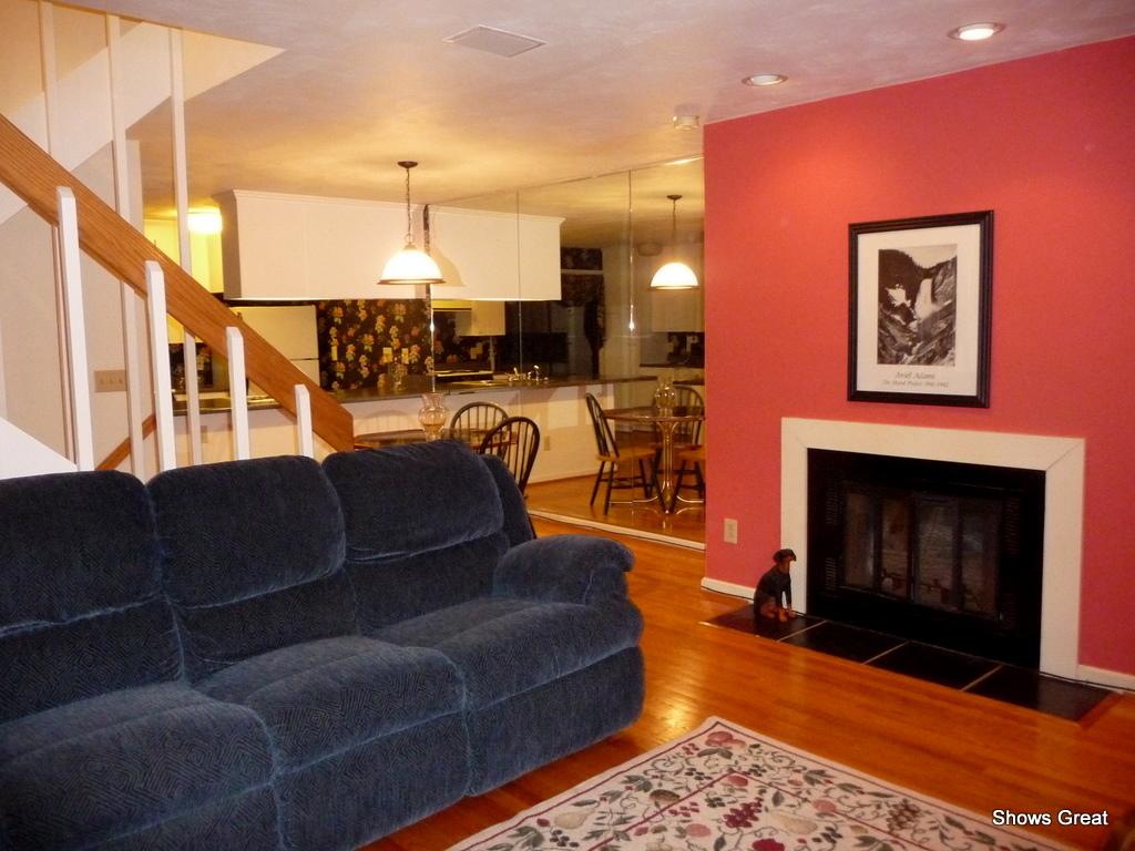 2930 Tree Swallow Road Roanoke, VA 24018 - Photo 3 of 3 a living room with furniture a fireplace and a flat screen tv