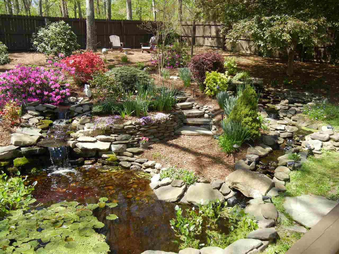 7701 Wilderness Road Raleigh, NC 27613 - Photo 23 of 25 Gorgeous back yard with ponds and waterfalls. Very serene. Back Yard