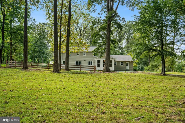 a view of a tree in a yard