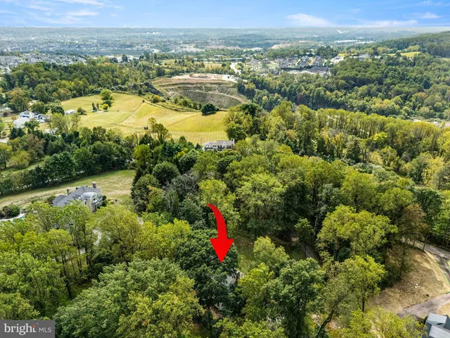 an aerial view of residential houses with outdoor space and trees