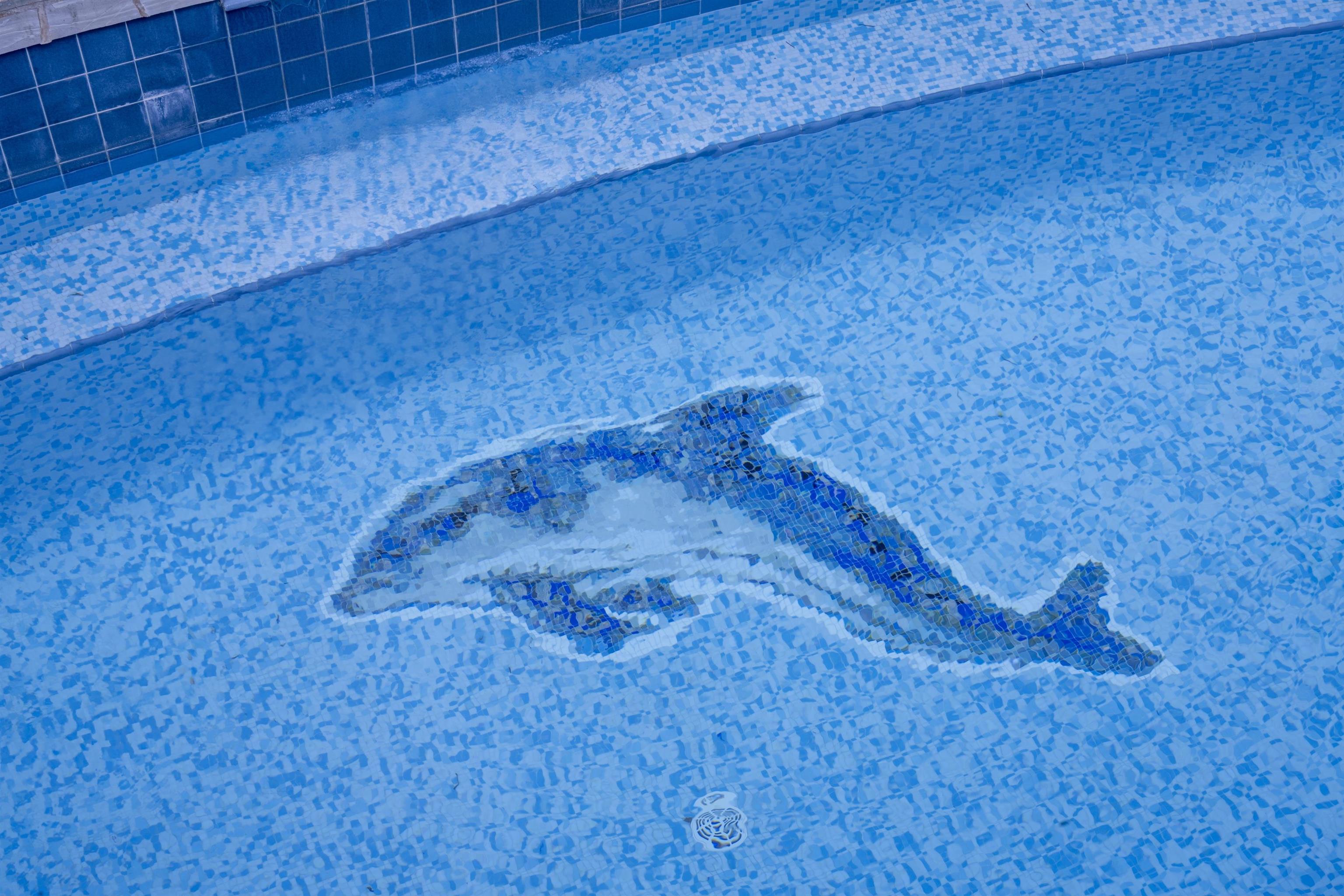 212 Crestview Road Lahaina, HI 96761 - Photo 26 of 50 a view of a yard with an empty space