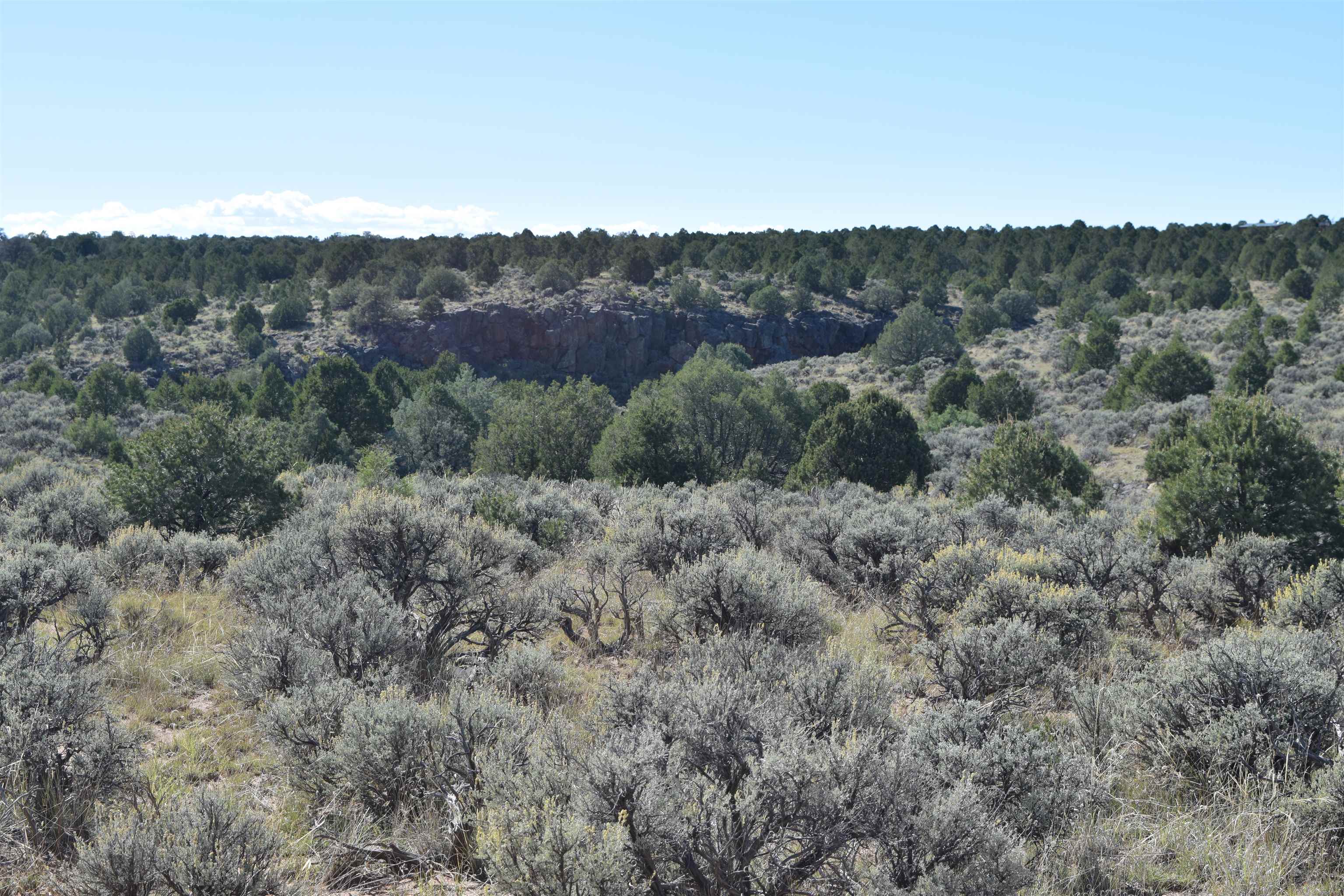 Matisse Road Carson, NM 87517 - Photo 22 of 29