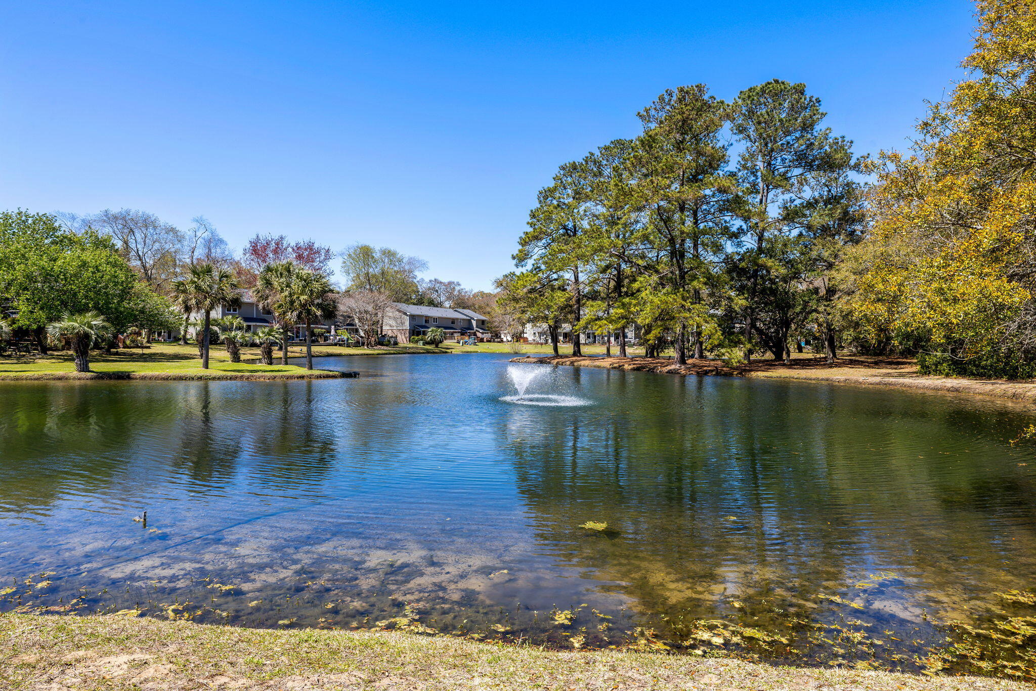 915 Dills Bluff Road, Unit 39 Charleston, SC 29412 - Photo 15 of 15 15-web-or-mls-915 Dills Bluff rd 39 Coas