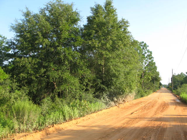 0 Squirrel Haven Road DeFuniak Springs, FL 32435 - Photo 1 of 2 Bethea-Squirrel Haven #2