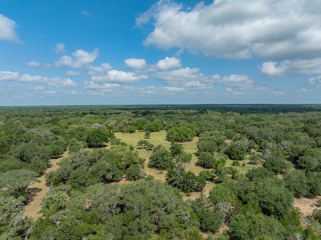 1561 Cr 154 Road Weimar, TX 78962 - Photo 20 of 46