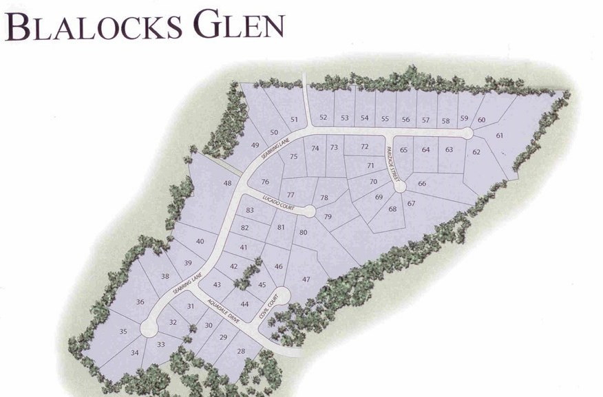 424 Seabring Lane Raleigh, NC 27603 - Photo 19 of 25 Phase III map!