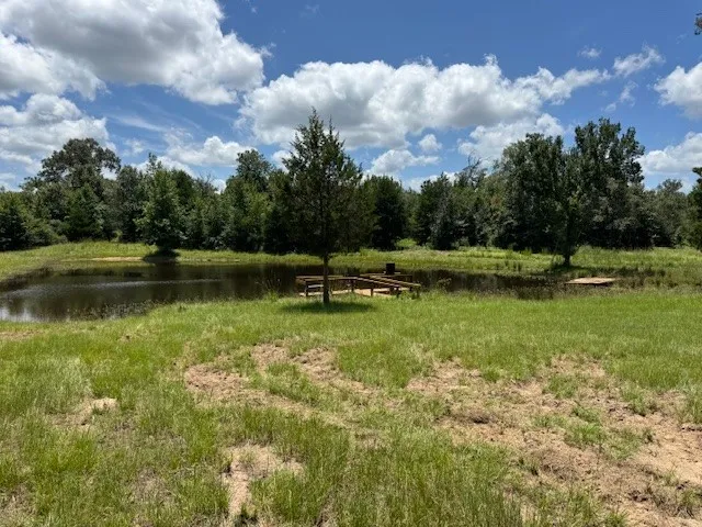 a view of a lake with houses in the back
