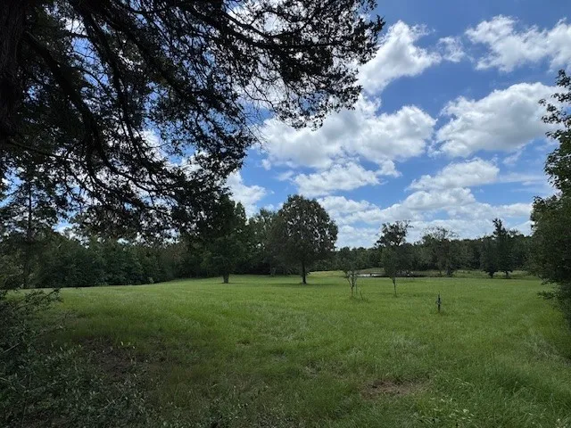 a view of backyard with tree