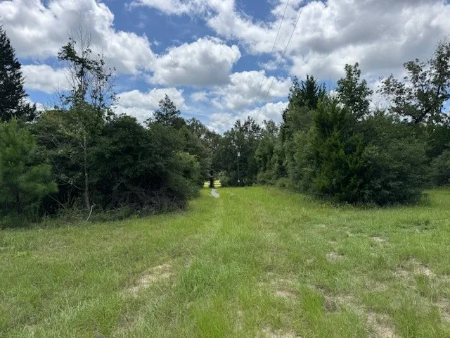 a view of a green yard