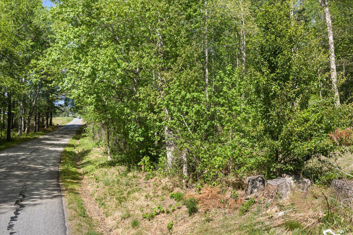 Lot 96 Sturgeon Road Lawrenceville, VA 23868 - Photo 11 of 23