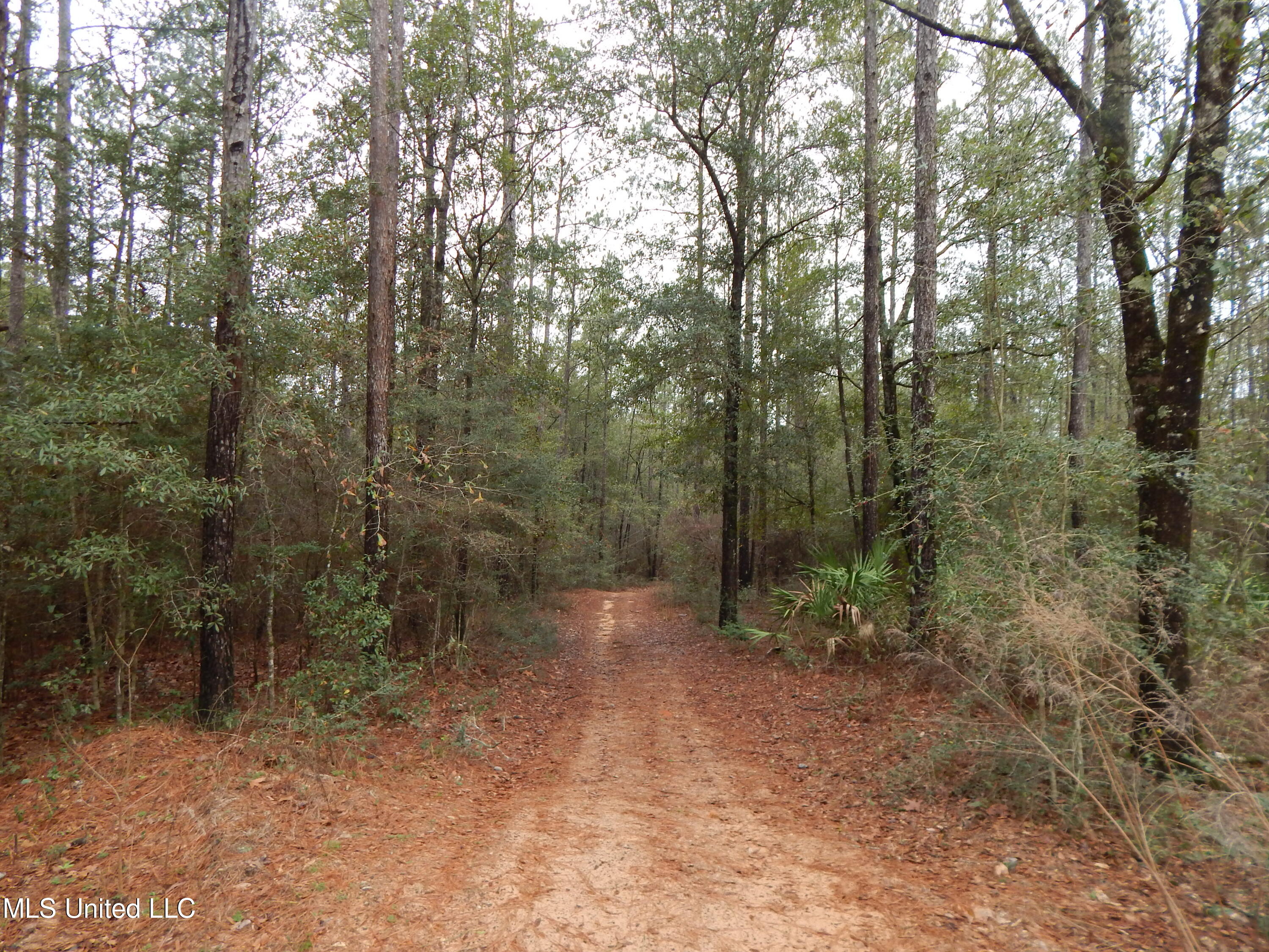 169 Cedar Ridge Road Lucedale, MS 39452 - Photo 28 of 31 DSCN6547