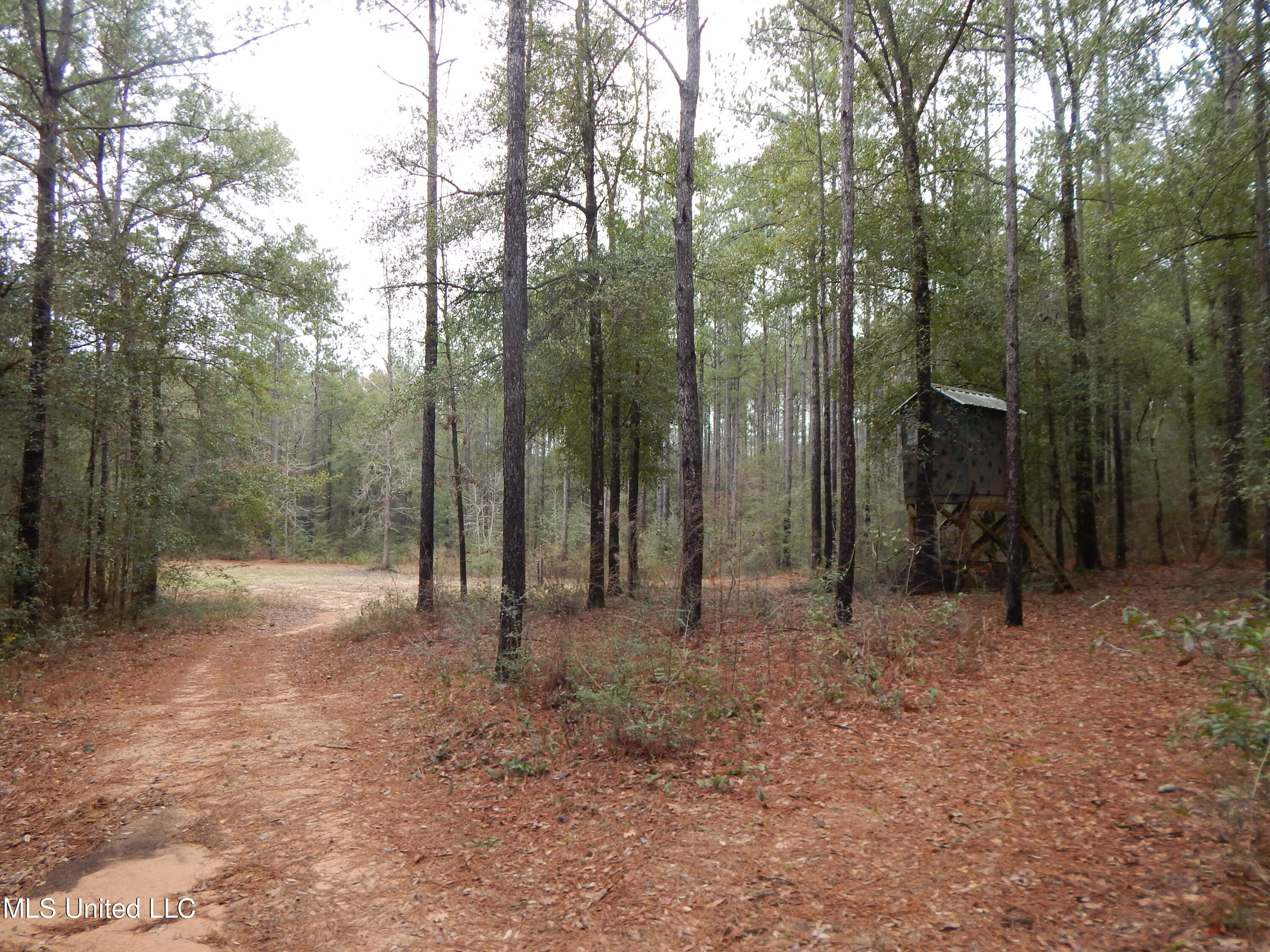 169 Cedar Ridge Road Lucedale, MS 39452 - Photo 29 of 31 DSCN6548