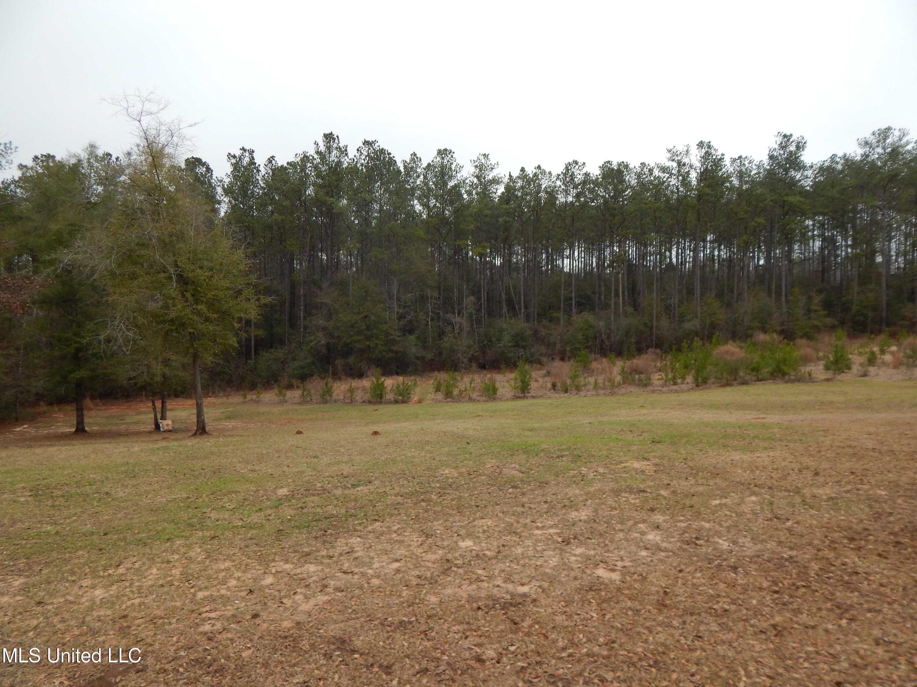 169 Cedar Ridge Road Lucedale, MS 39452 - Photo 31 of 31 DSCN6545