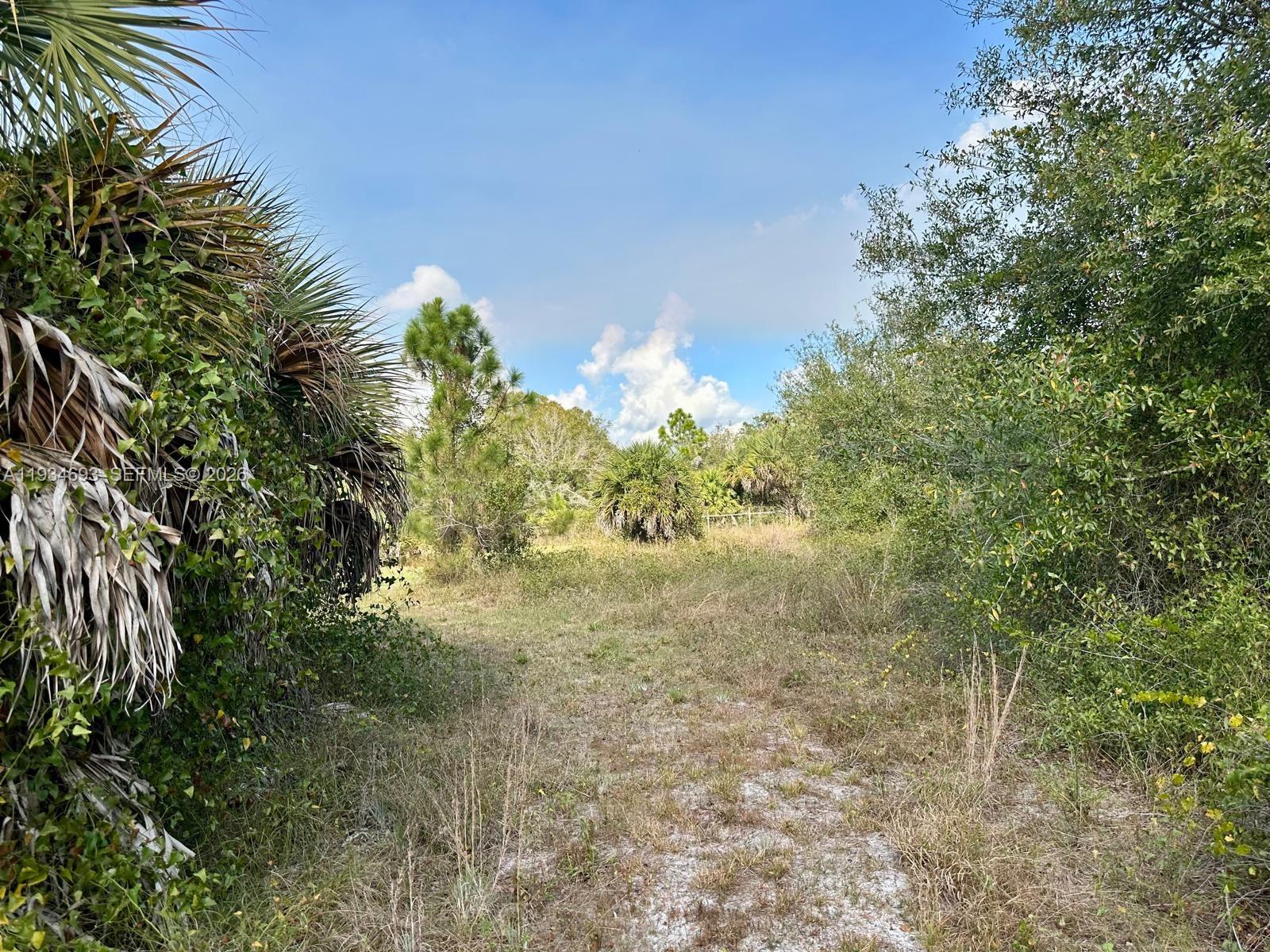 650 North Kennel Street Clewiston, FL 33440 - Photo 11 of 13 a view of a yard