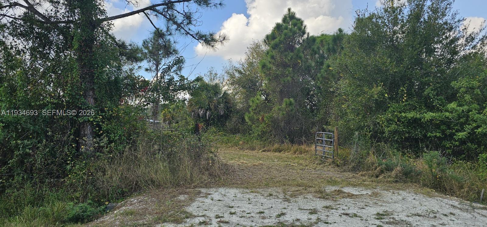 650 North Kennel Street Clewiston, FL 33440 - Photo 2 of 13 a view of a forest