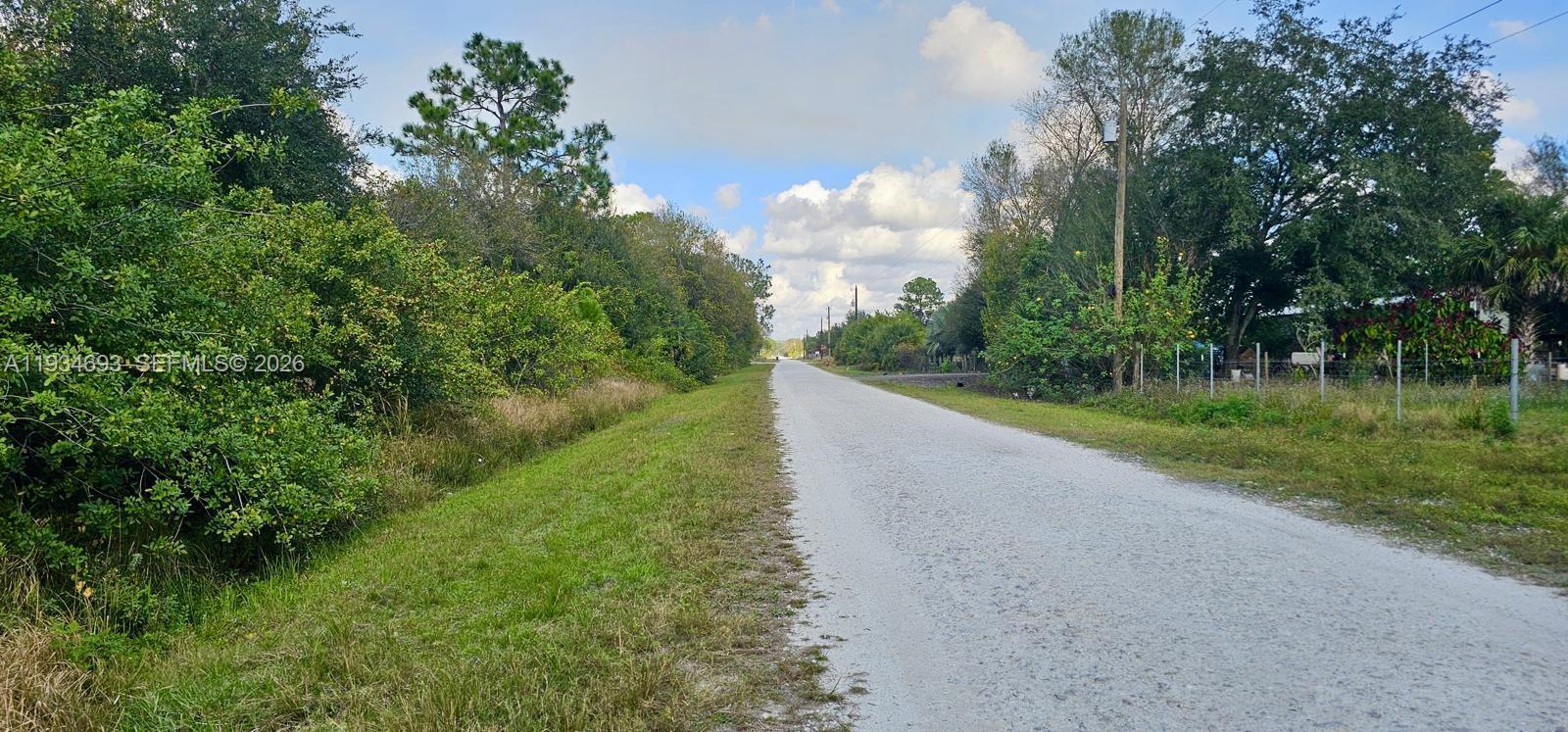 650 North Kennel Street Clewiston, FL 33440 - Photo 4 of 13 a view of a street with a yard and large trees
