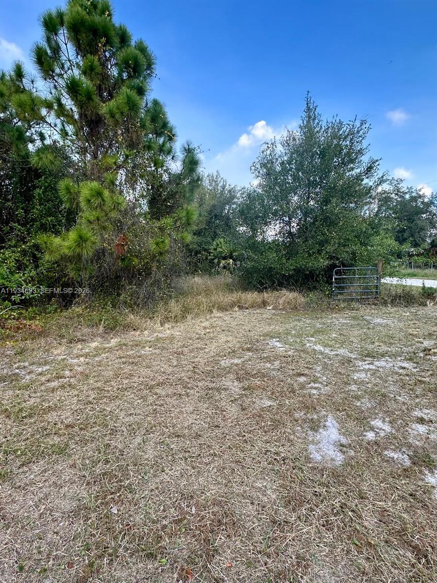 650 North Kennel Street Clewiston, FL 33440 - Photo 6 of 13 a view of outdoor space and lake view