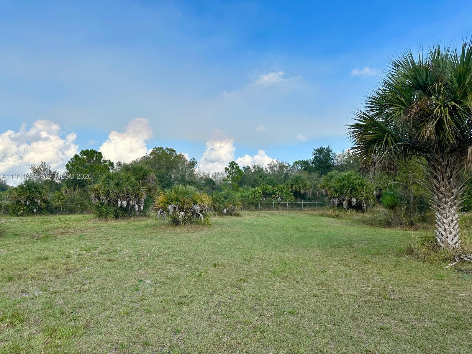 650 North Kennel Street Clewiston, FL 33440 - Photo 8 of 13 a view of a grassy field with trees