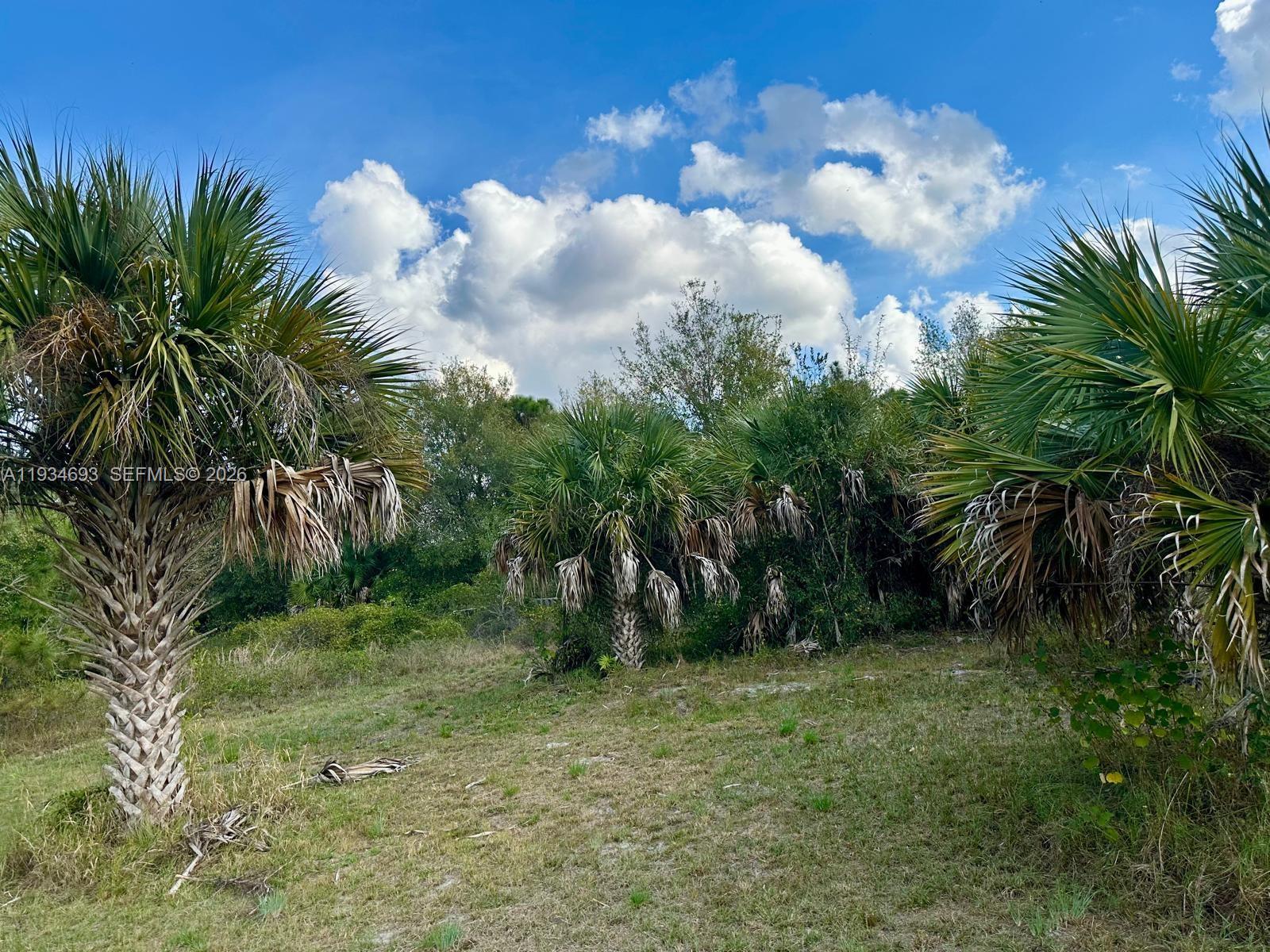 650 North Kennel Street Clewiston, FL 33440 - Photo 9 of 13 a view of a yard