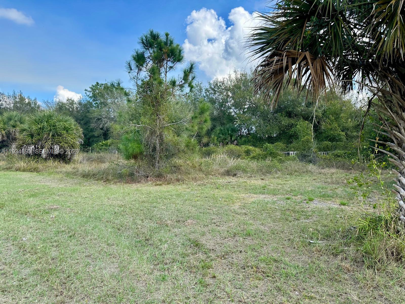 650 North Kennel Street Clewiston, FL 33440 - Photo 10 of 13 a view of a yard with a tree