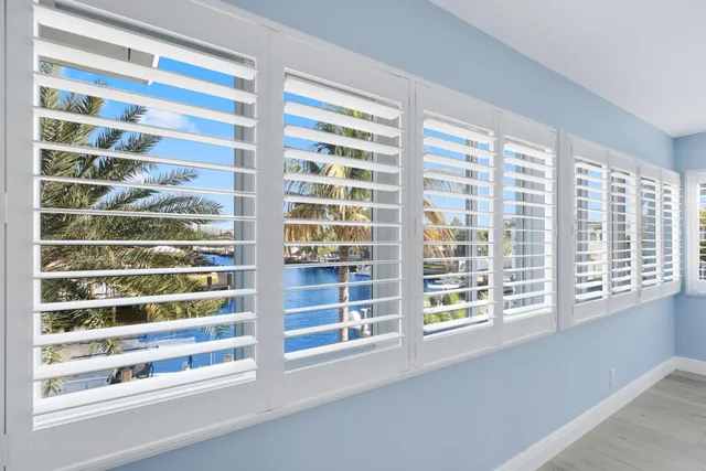 a view of a swimming pool with a lawn chairs and palm tree
