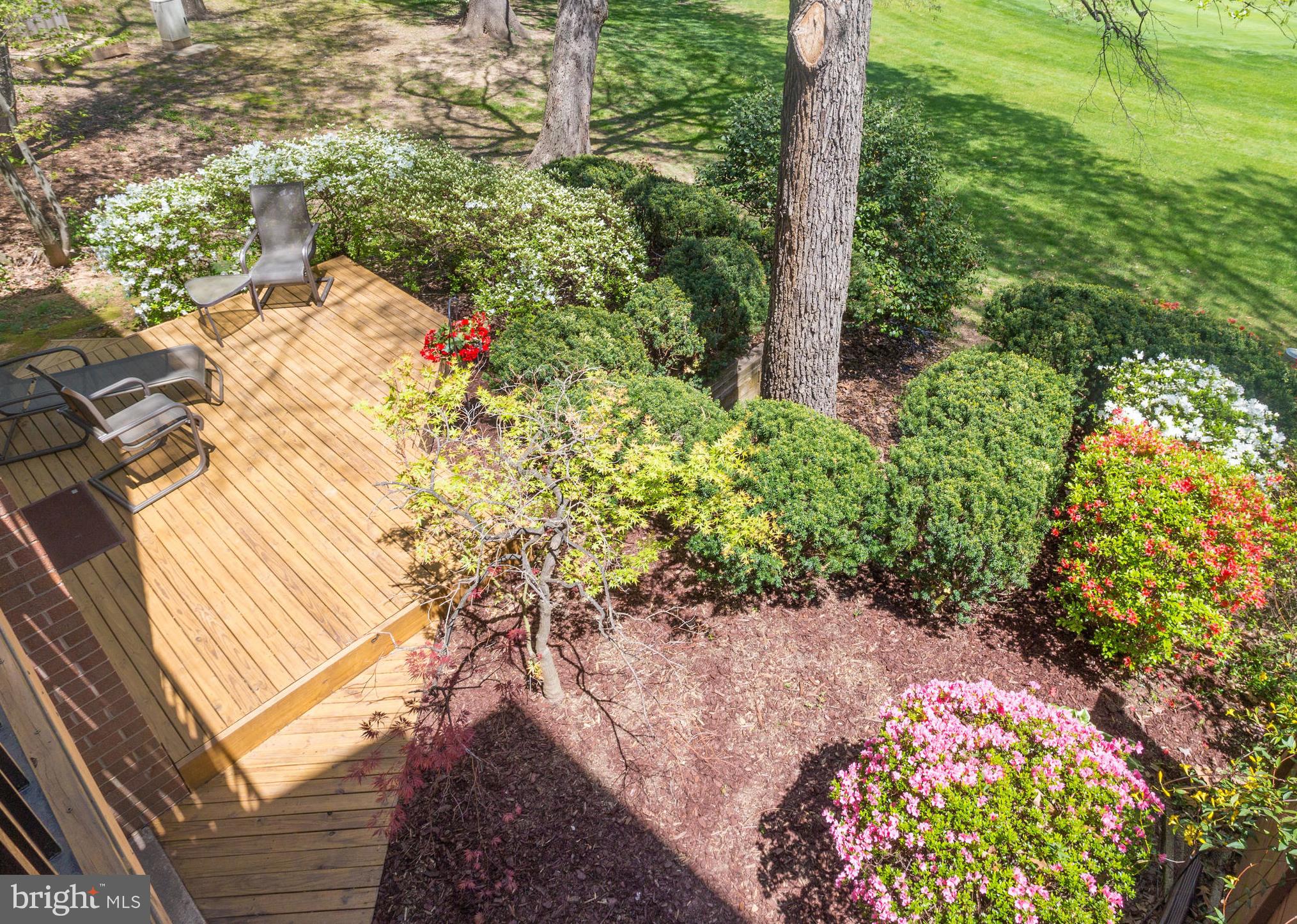 11701 Indian Ridge Road Reston, VA 20191 - Photo 4 of 30