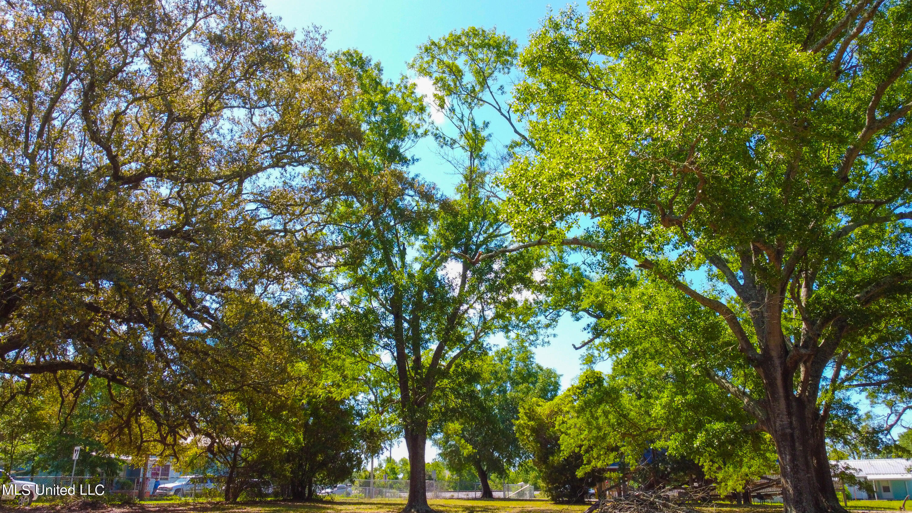 215 Strangi Avenue Biloxi, MS 39530 - Photo 3 of 21 DJI-10