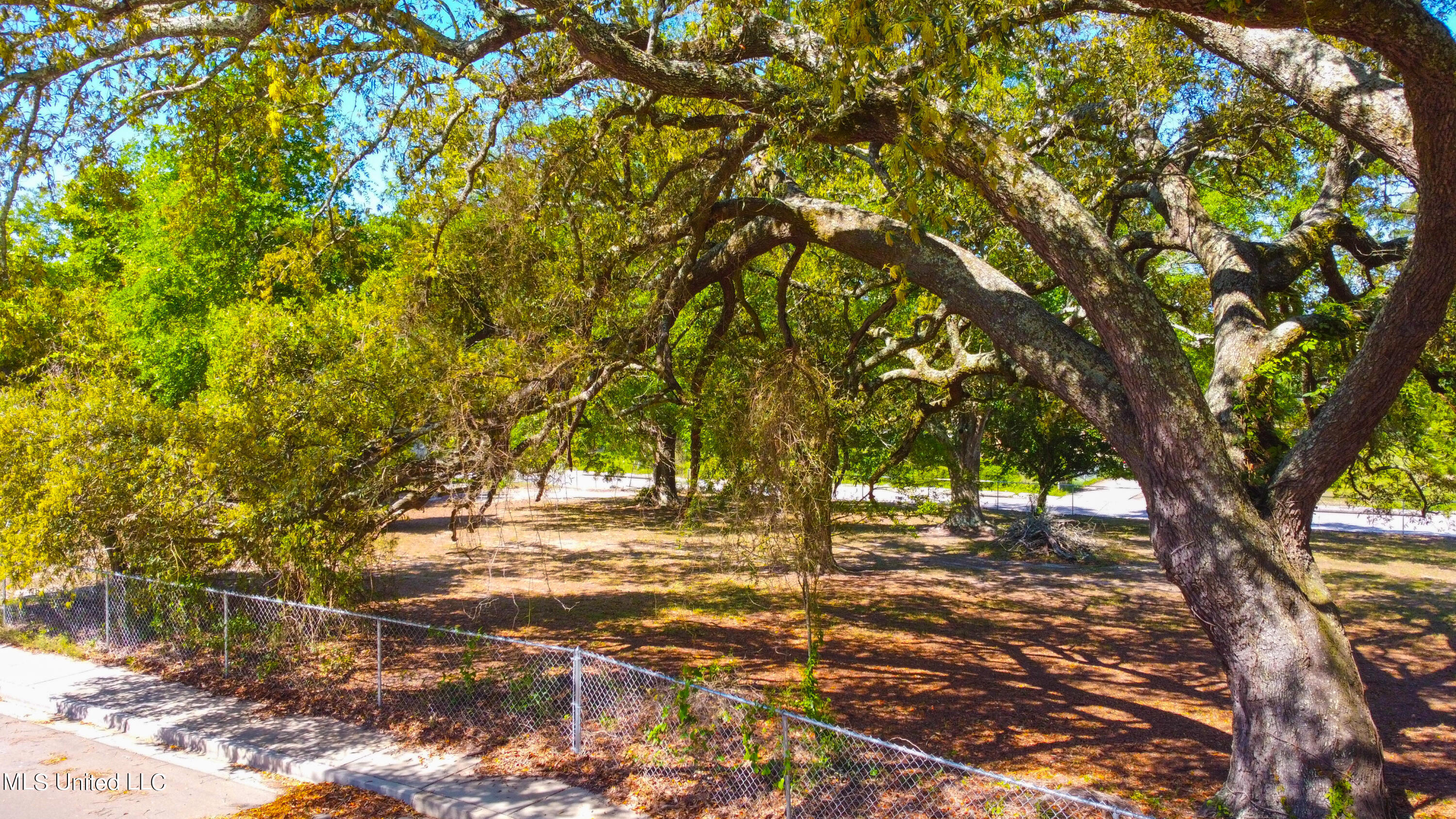 215 Strangi Avenue Biloxi, MS 39530 - Photo 5 of 21 DJI-13