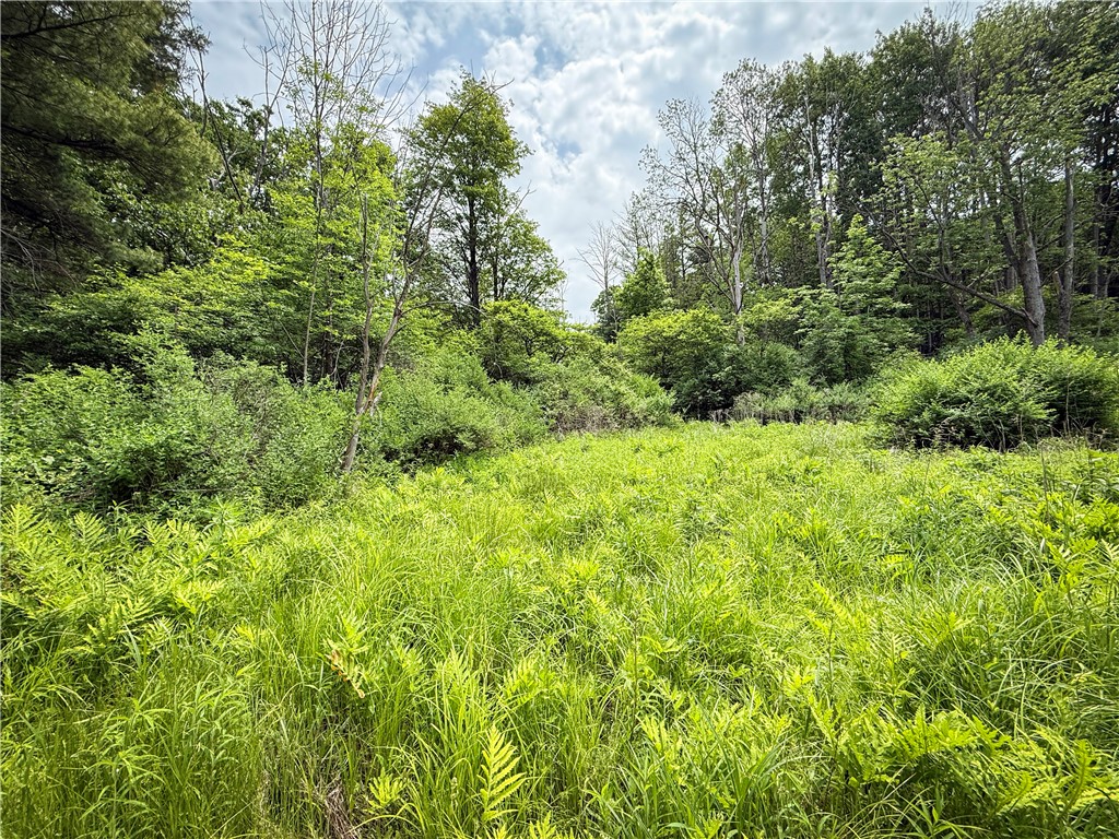 5401 Old Bath Road Barrington, NY 14837 - Photo 24 of 50