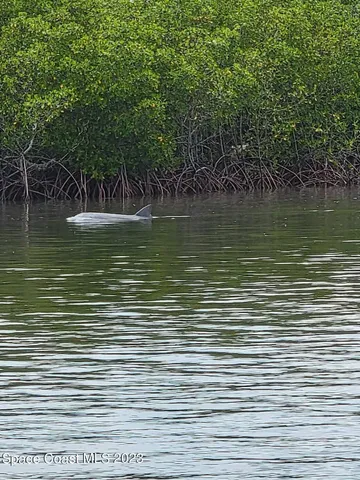 $3,950,000 | 1009 Hill Street, New Smyrna Beach, FL 32169